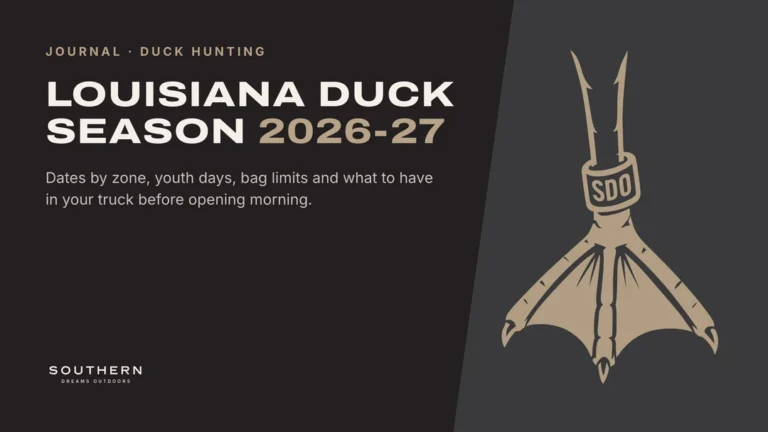 Louisiana Duck Season 2026-27: Dates, Splits and Limits