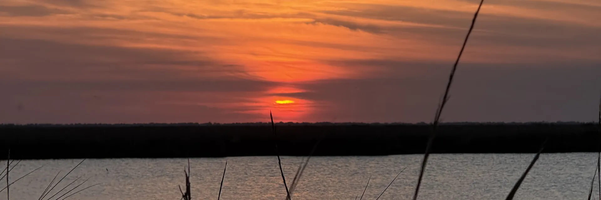 Sunset over open water with marsh grass in the foreground